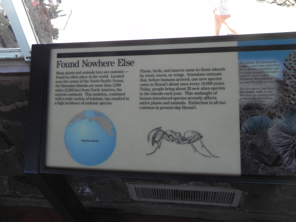 DSCN5490.JPG